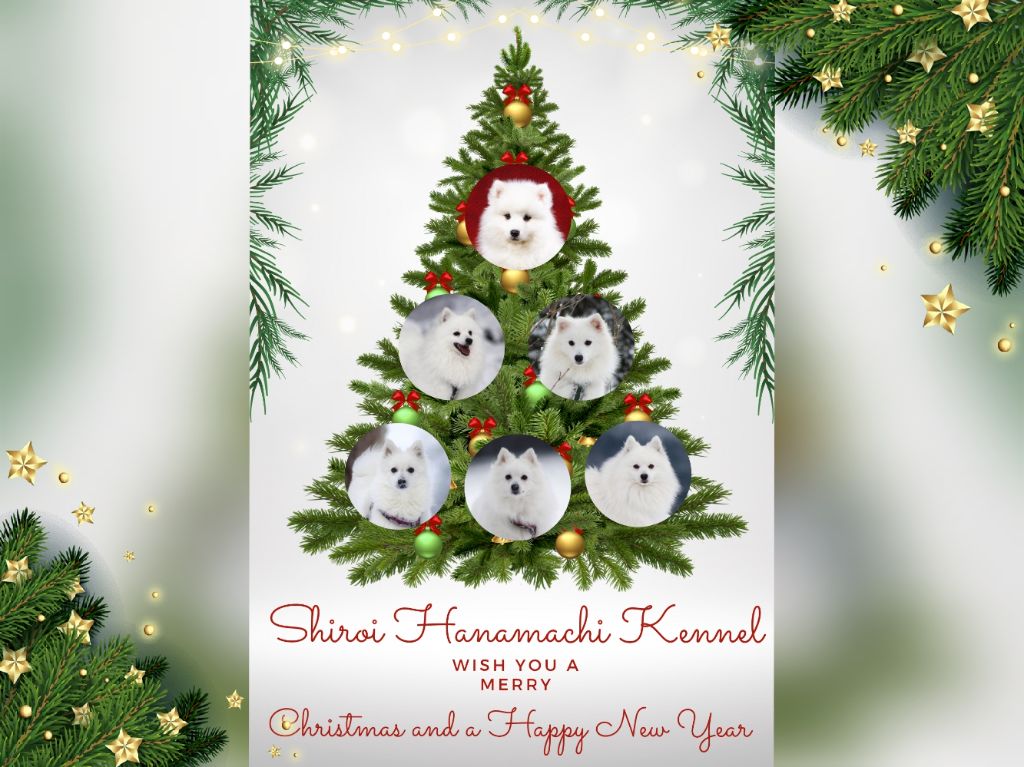 Of Shiroi Hanamachi - Joyeuses fêtes