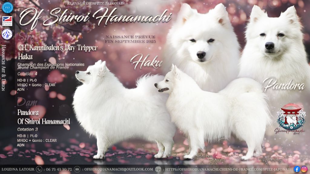 Litter "A" 23/09/2025